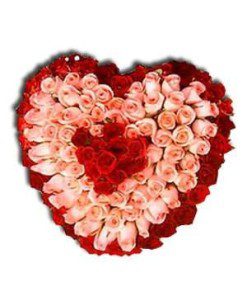 100 Pink and Red Roses Heart Bouquet