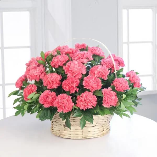 Sweet Pink