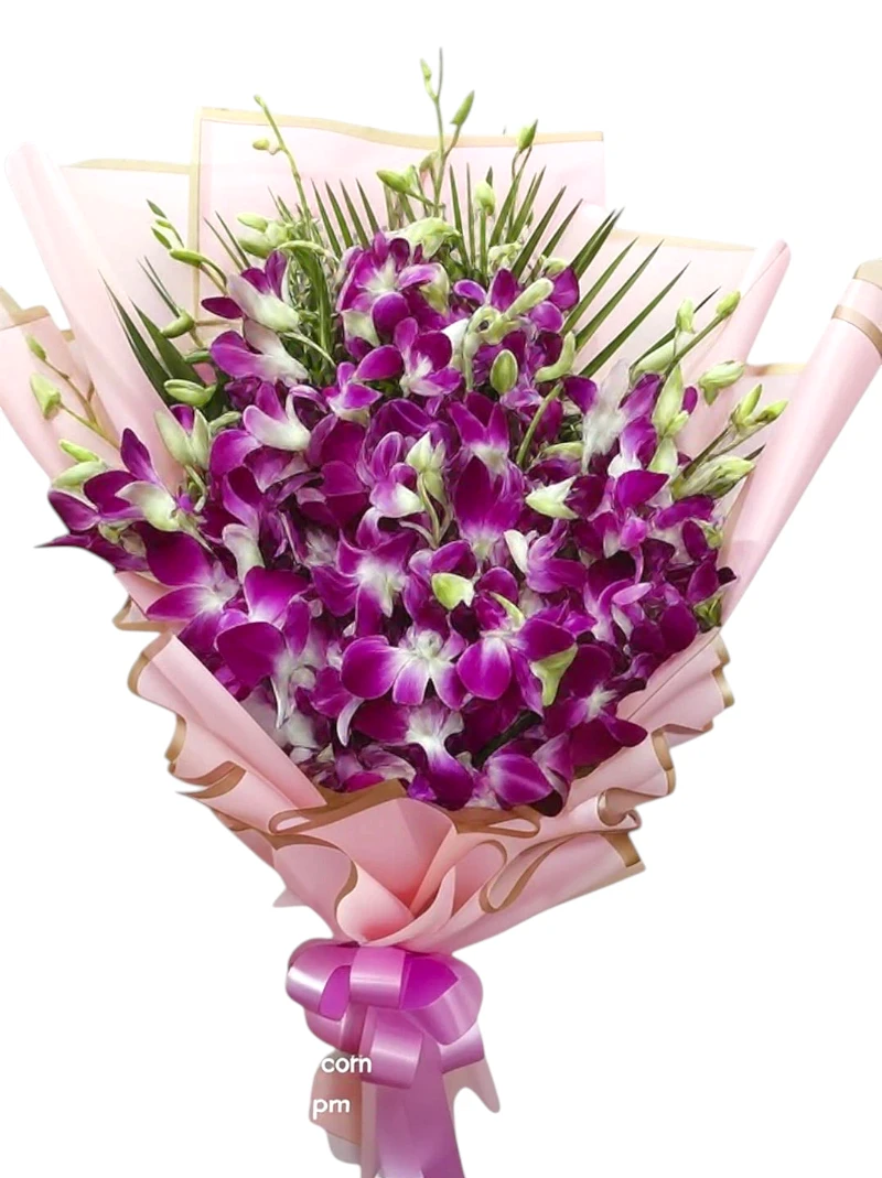 Royal Bloom – Premium Orchids Bunch