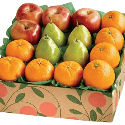Wellness Bite Fruit Basket